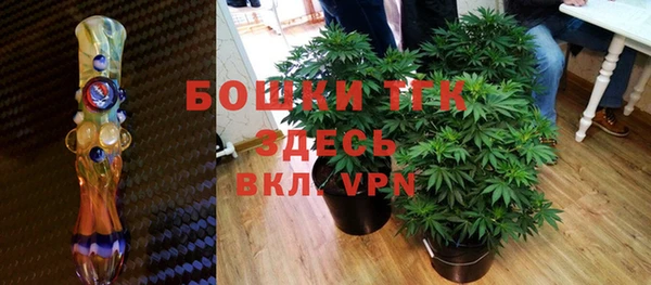 бошки Дмитров