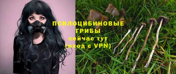 бошки Дмитров